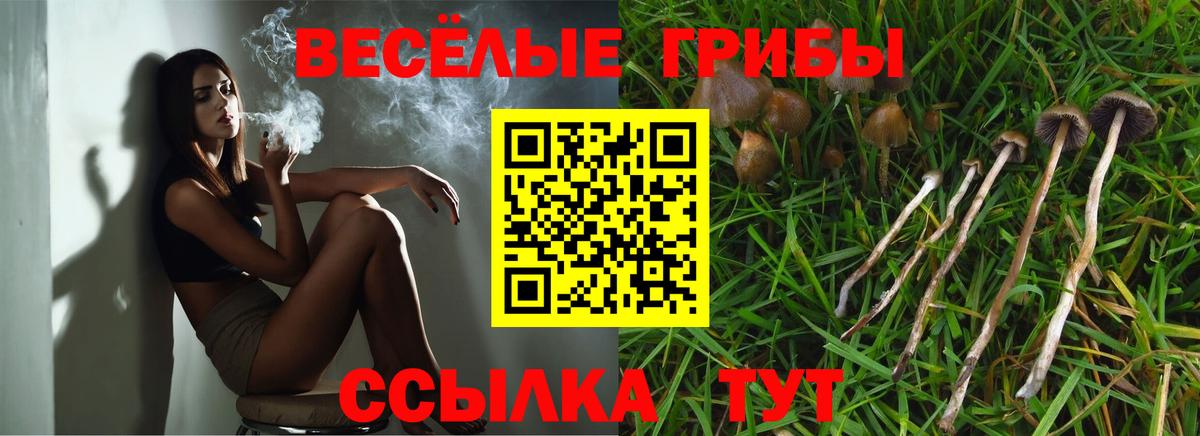 Псилоцибиновые грибы GOLDEN TEACHER Ефремов