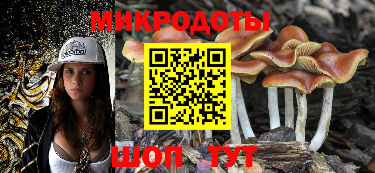 Галлюциногенные грибы Psilocybe  Вход с VPN  Ефремов 